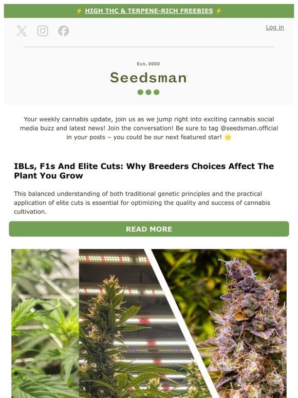 Time to check the Seedsman Weekly Updates