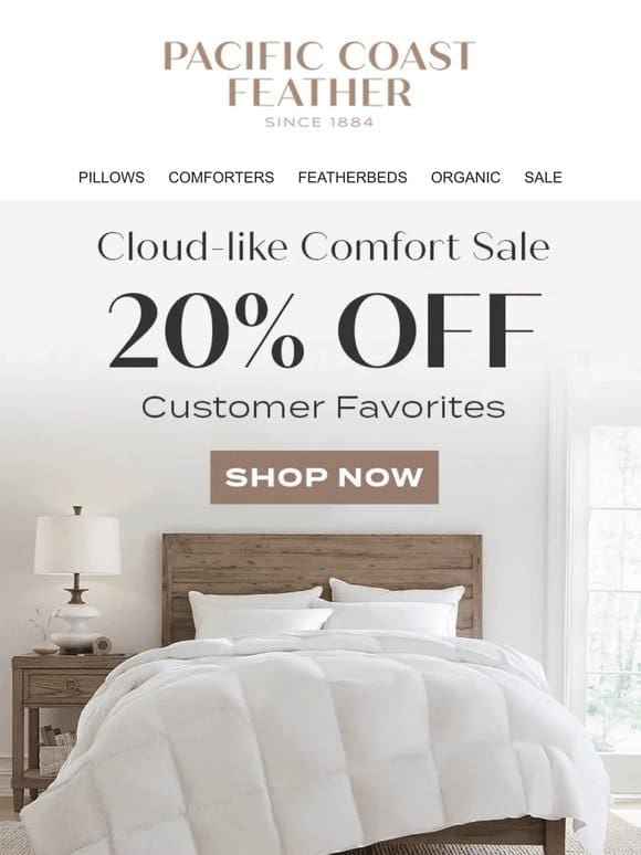 Top Favorite Bedding Can be Yours