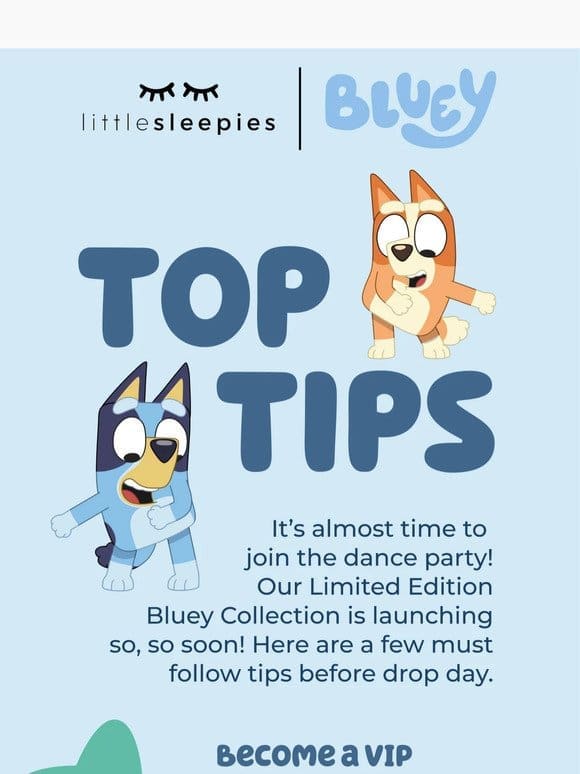 Top Tips for Bluey Drop Day