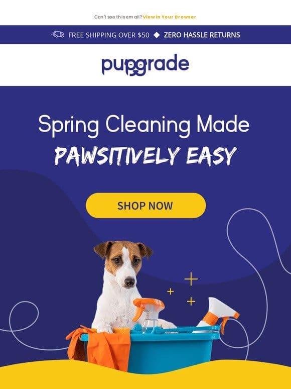 Unleash Cleanliness: Spring Cleaning Tips for Pet Parents