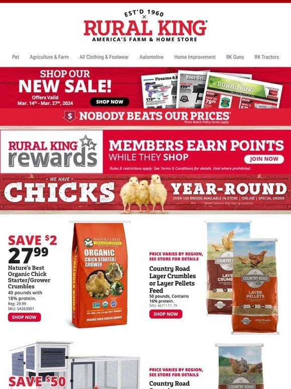 We’re Crazy for Chickens & Savings During Chick Days – Come Join Us!