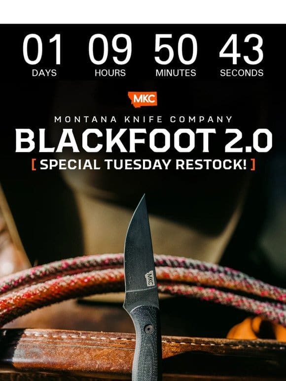 ❌ The Blackfoot 2.0 RETURNS