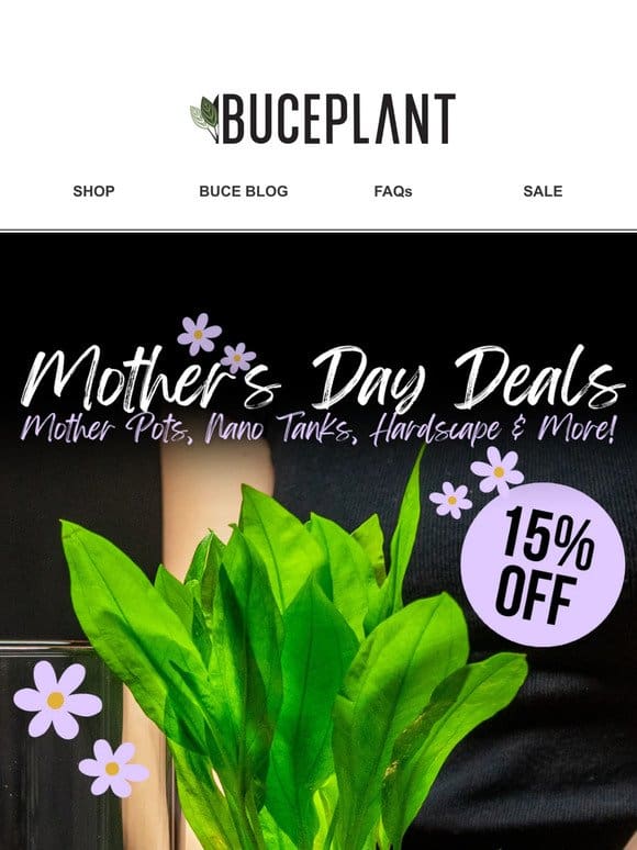 15% OFF Mother’s Day Deals + Prism Giveaway