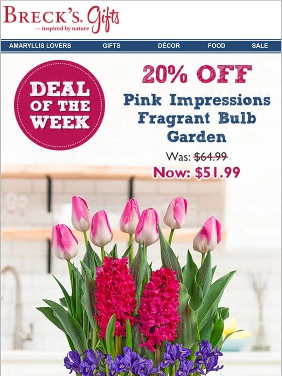 20% off a boldly beautiful bulb garden!