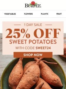 25% off sweet potatoes， today only