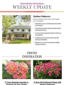 40 Exterior Color Combinations for Inviting Curb Appeal