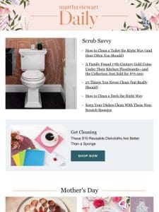 Are You Cleaning Your Toilet the Right Way?