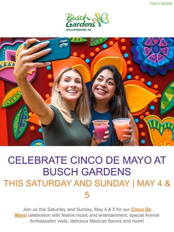 Celebrate Cinco De Mayo With Us!