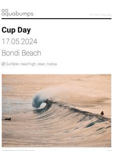 : : Cup Day