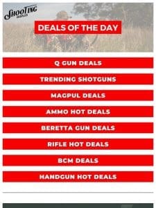 Daily Steal Spotlight! Unbeatable Deals on Q Guns， Magpul， BCM & More!