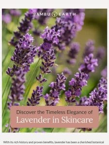 Discover the Timeless Elegance of Lavender in Skincare