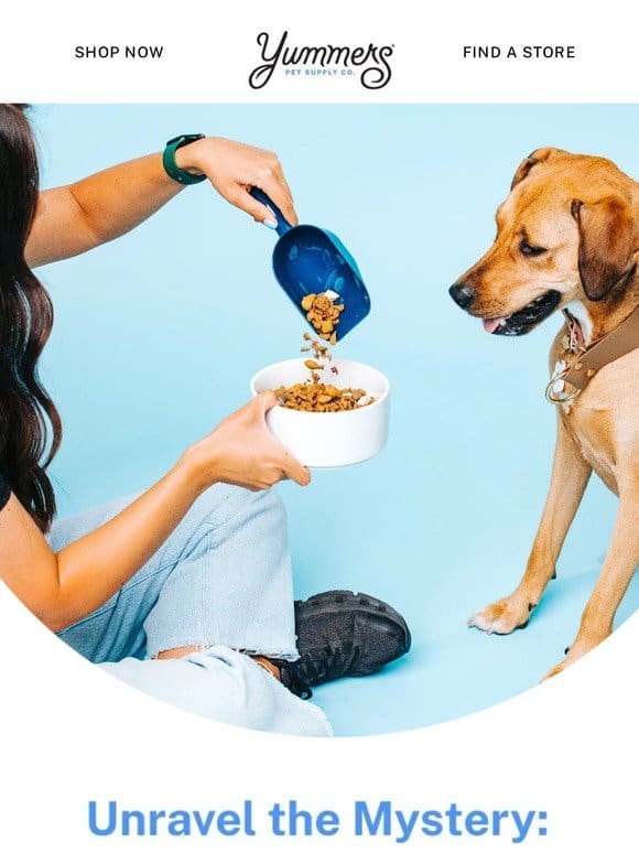 Do you know how many calories your pet needs?