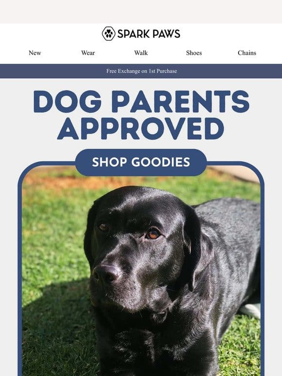 Dog Parents Approved Gear
