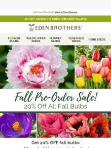 Fall Bulb Pre-Order Sale