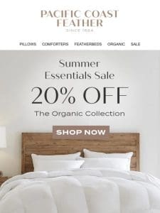 Find Organic Cotton Cover Pillows Inside – 20% OFF