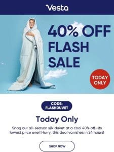 Flash Sale: 40% Off Silk Duvets (!!) Today Only ⏰