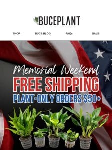 Free Plant Shipping in Honor of Memorial Day!