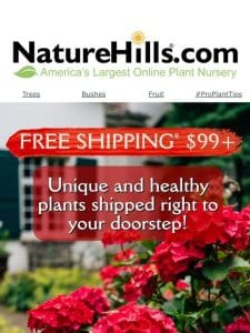 Free Shipping On Plant Orders Over $99+