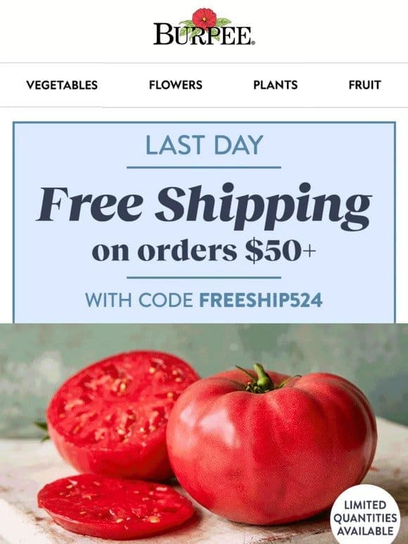 Free shipping ends soon!