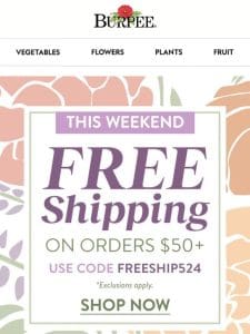 Free shipping starts…now!