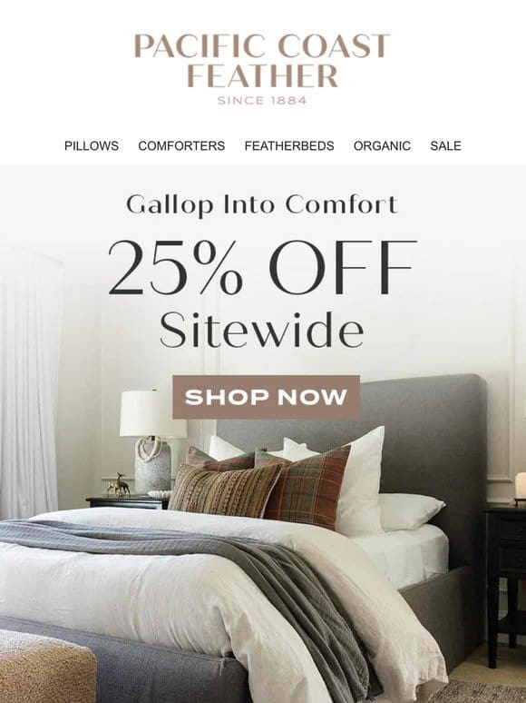 Gallop into Comfort with 25% OFF Sitewide