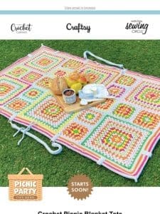 Going LIVE: Crochet Picnic Blanket Tote with Brenda K.B. Anderson