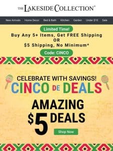 Happy Cinco de Mayo! $5 Deals + Free Shipping!