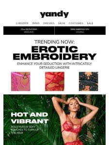 Hot Right Now!   Erotic Embroidered Lingerie