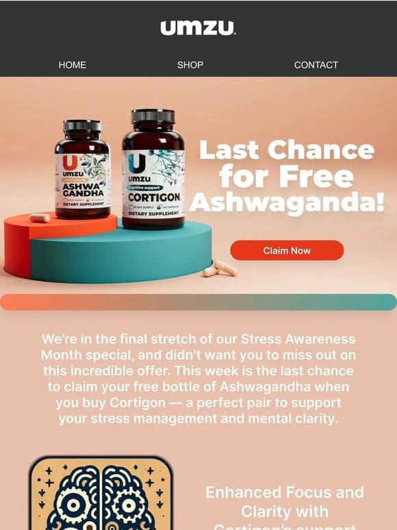 Hurry! Your Free Ashwagandha Offer Expires This Week!