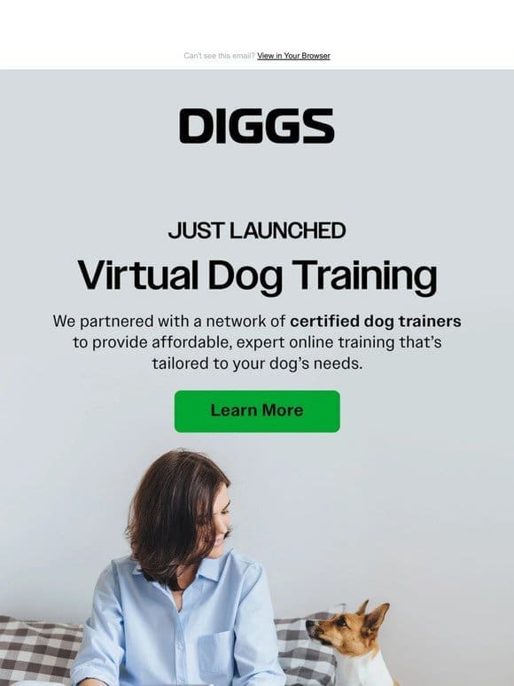 Introducing Virtual Pet Training