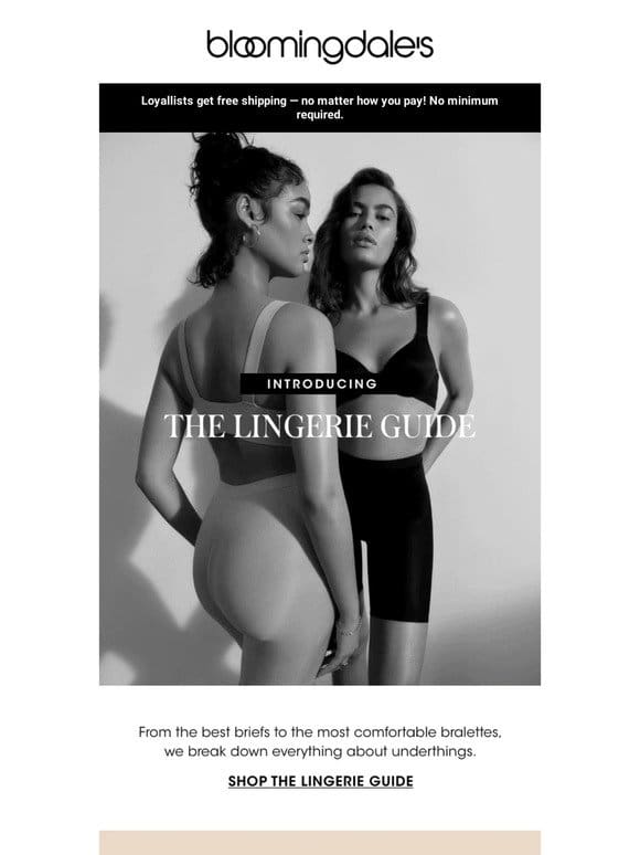 Introducing the Lingerie Guide