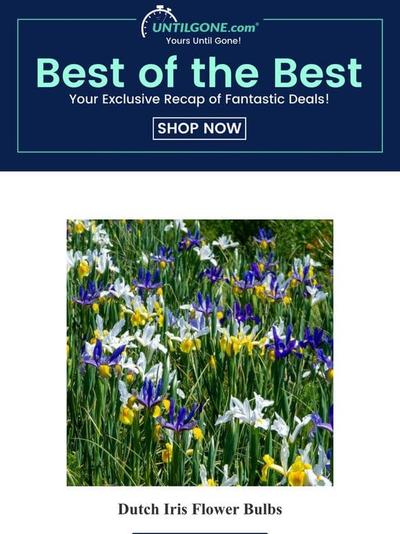 It’s Here! The “Best of the Best” savings event – Up to 95% OFF