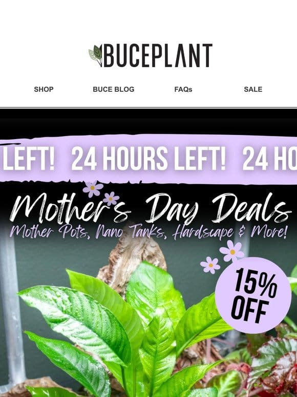 Last Chance ⏰ 15% OFF Mother’s Day + Prism Giveaway