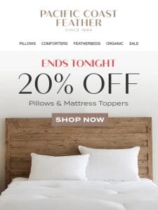 Last Day! Shop 20% OFF Pillows & More