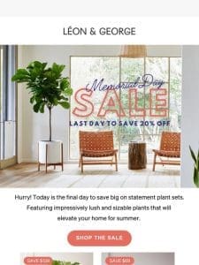 Last chance to save 20% on big plant sets