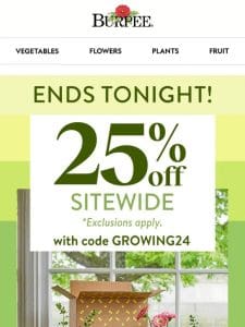 Last day for sitewide savings