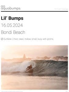 : : Lil’ Bumps