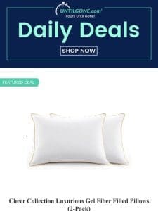 Luxurious Gel Fiber Pillows | Blurams® Security Camera | Short Sleeve Polo Shirt