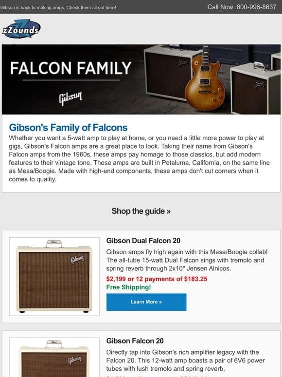 Meet the Falcon Family