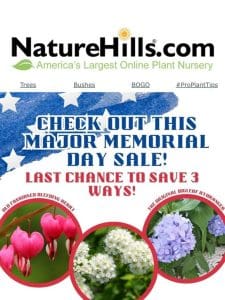 Memorial Day Savings! Last chance to save 3 ways!