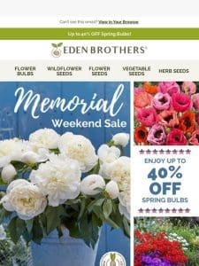 Memorial Weekend Sale