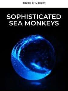 Monkey Sea， Monkey Glow