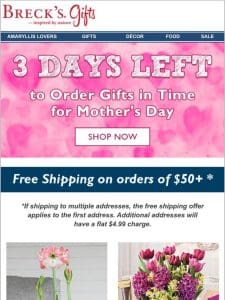 Mother’s Day gifts on sale and shipped free!