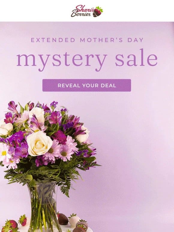 Mystery Sale Extended For A Short Time Only!