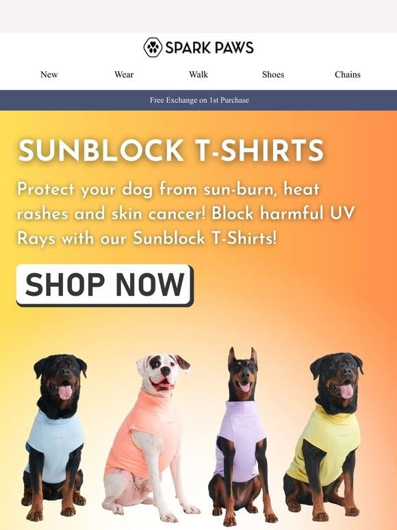 NEW: Sunblock T-Shirts ☀️