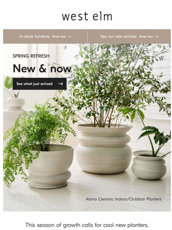 New! Planters for indoors & out