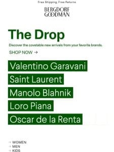 New: Valentino Garavani， Saint Laurent， Manolo Blahnik