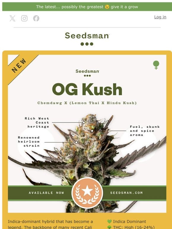 New strain alert > Seedsman OG KUSH