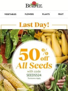 Only a few hours left for 50% off seeds