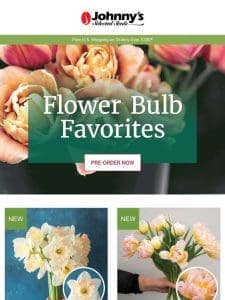 Order Flower Bulbs Early